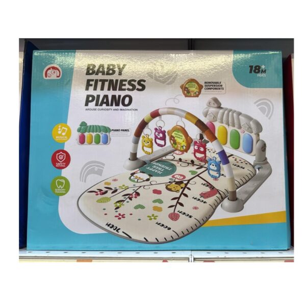Baby Fitness Piano Play Mat